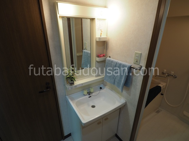 便利な独立洗面台