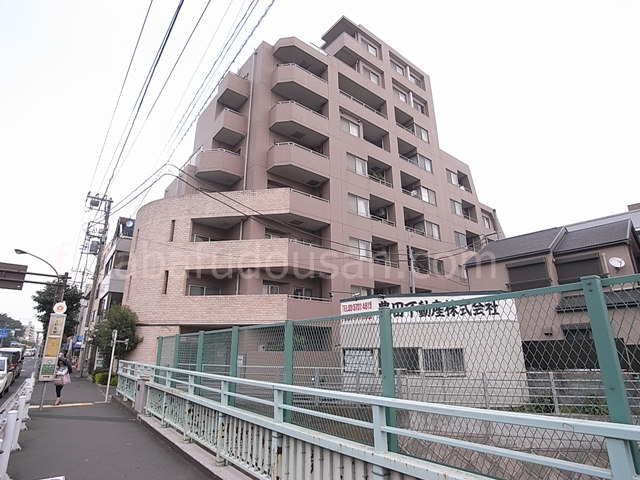 6007画像
