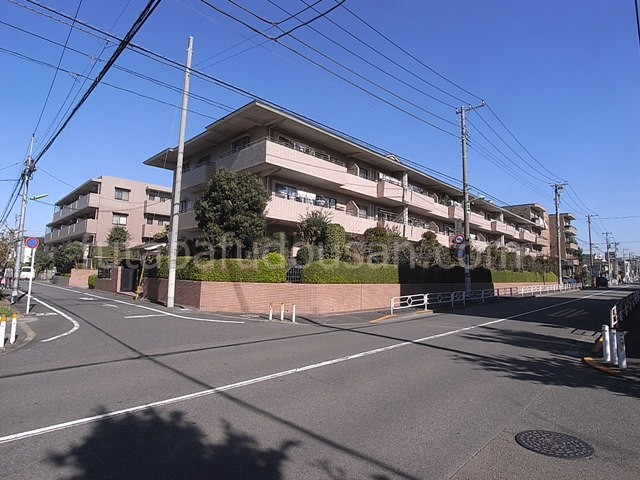 ヒラソル上野毛